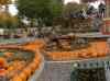 HPIM0992.JPG - 2006:10:22 13:55:48