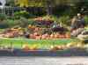 HPIM1019.JPG - 2006:10:22 14:12:47