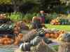 HPIM1020.JPG - 2006:10:22 14:13:14