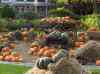 HPIM1021.JPG - 2006:10:22 14:13:59