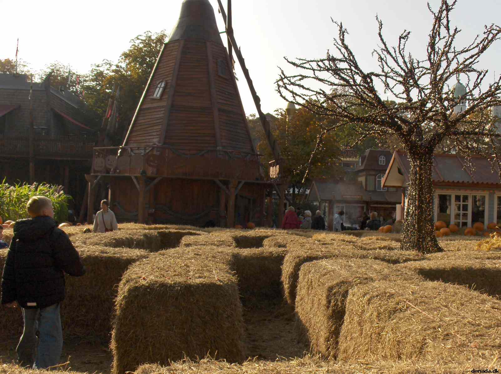 * Image 12