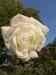 HPIM1034.JPG - 2006:10:22 15:14:50