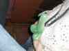 HPIM1124.JPG - 2006:11:25 01:10:59