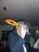 HPIM1125.JPG - 2006:11:25 01:11:57