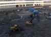 HPIM1143m.jpg - 2006:11:27 13:10:20
