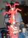 HPIM1296.JPG - 2006:12:22 21:04:45