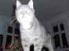 HPIM1345.JPG - 2006:12:23 17:28:44
