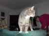 HPIM1346.JPG - 2006:12:23 17:28:49