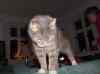 HPIM1347.JPG - 2006:12:23 17:29:00