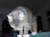 HPIM1348.JPG - 2006:12:23 17:29:06