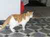 HPIM1375.JPG - 2006:12:24 14:26:04
