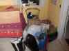 HPIM1385.JPG - 2006:12:24 17:51:27