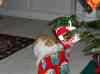 HPIM1399.JPG - 2006:12:24 20:34:50