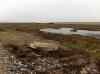 HPIM1410.JPG - 2006:12:25 11:19:03