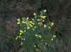 HPIM1420.JPG - 2006:12:25 12:21:08