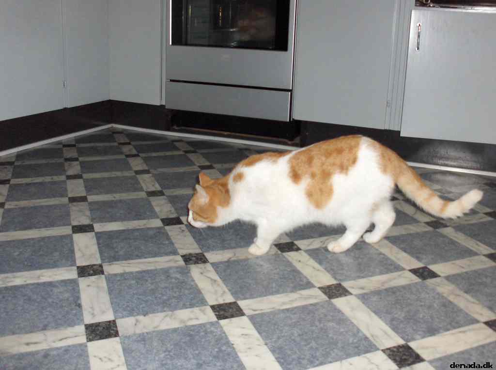 * Image 27