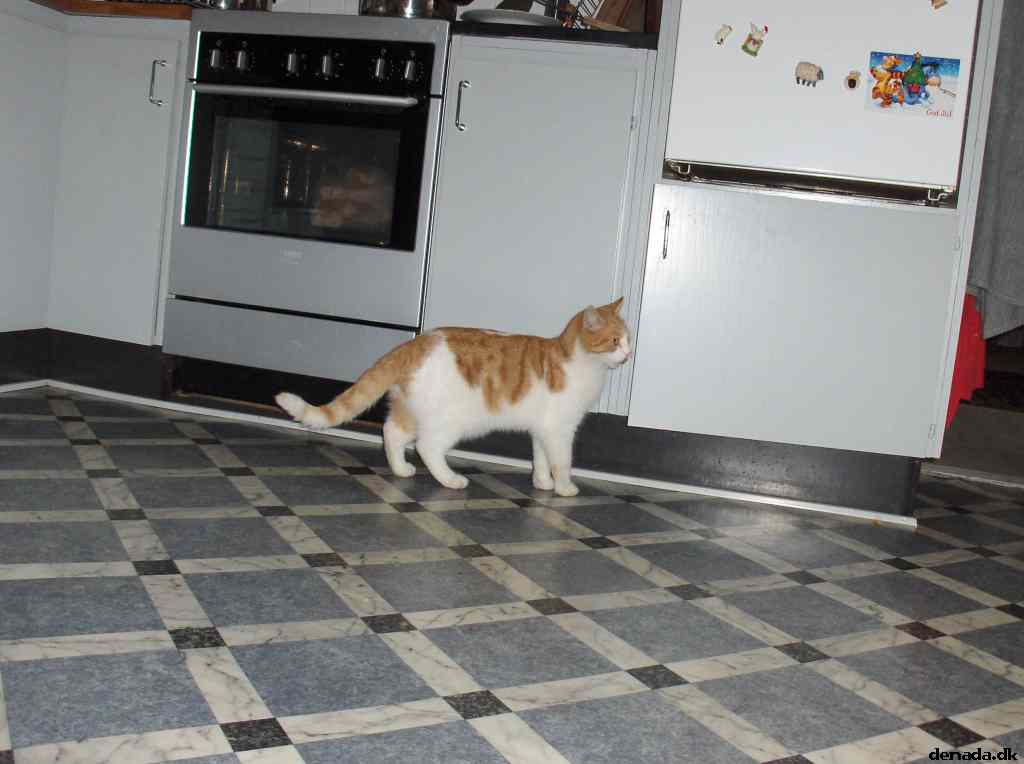 * Image 28