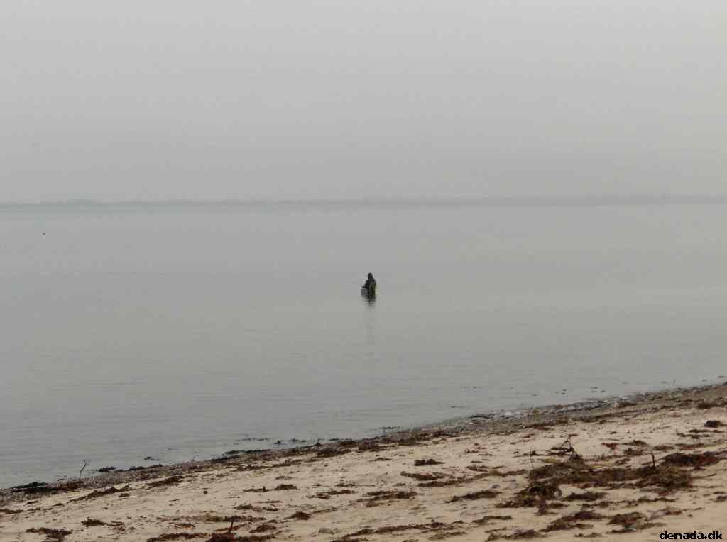 * Image 61
