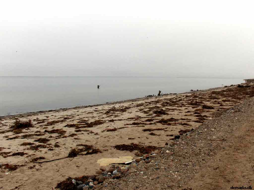 * Image 62