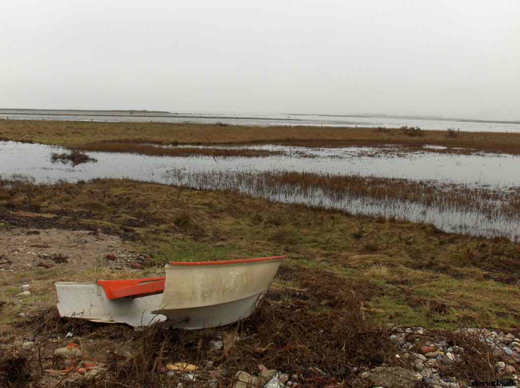 * Image 64