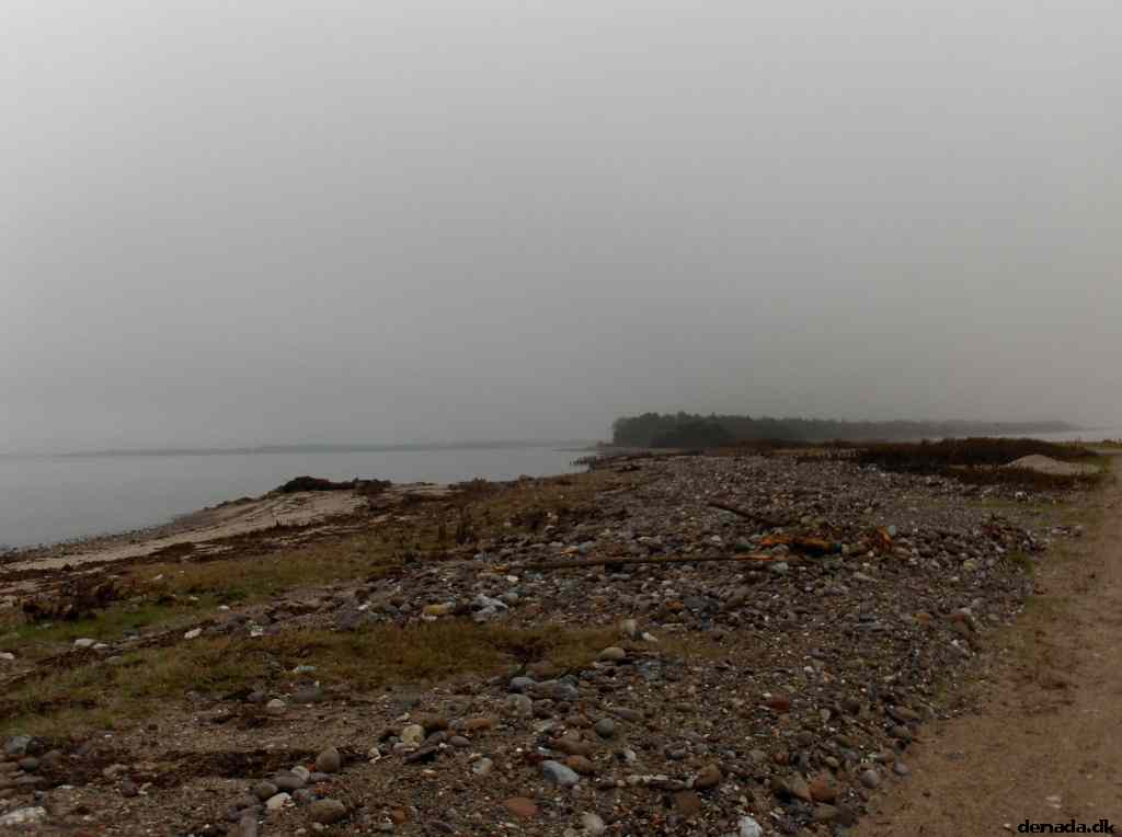 * Image 67