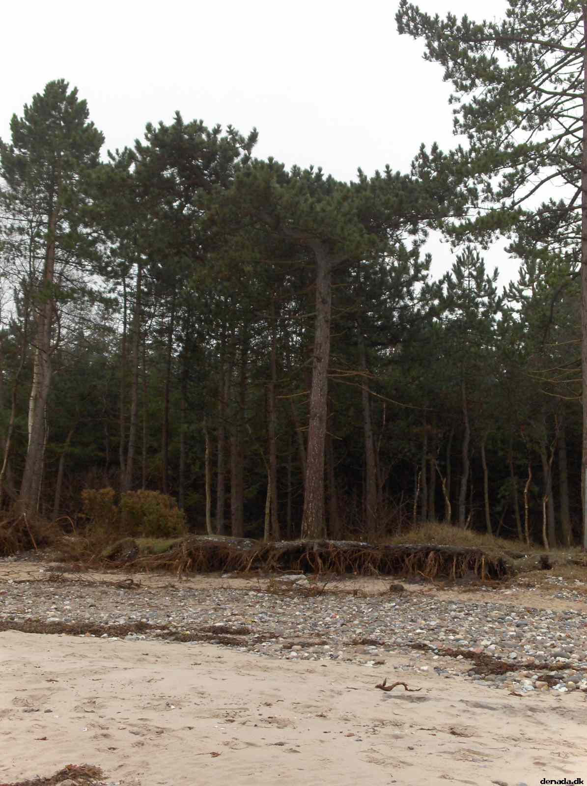 * Image 69