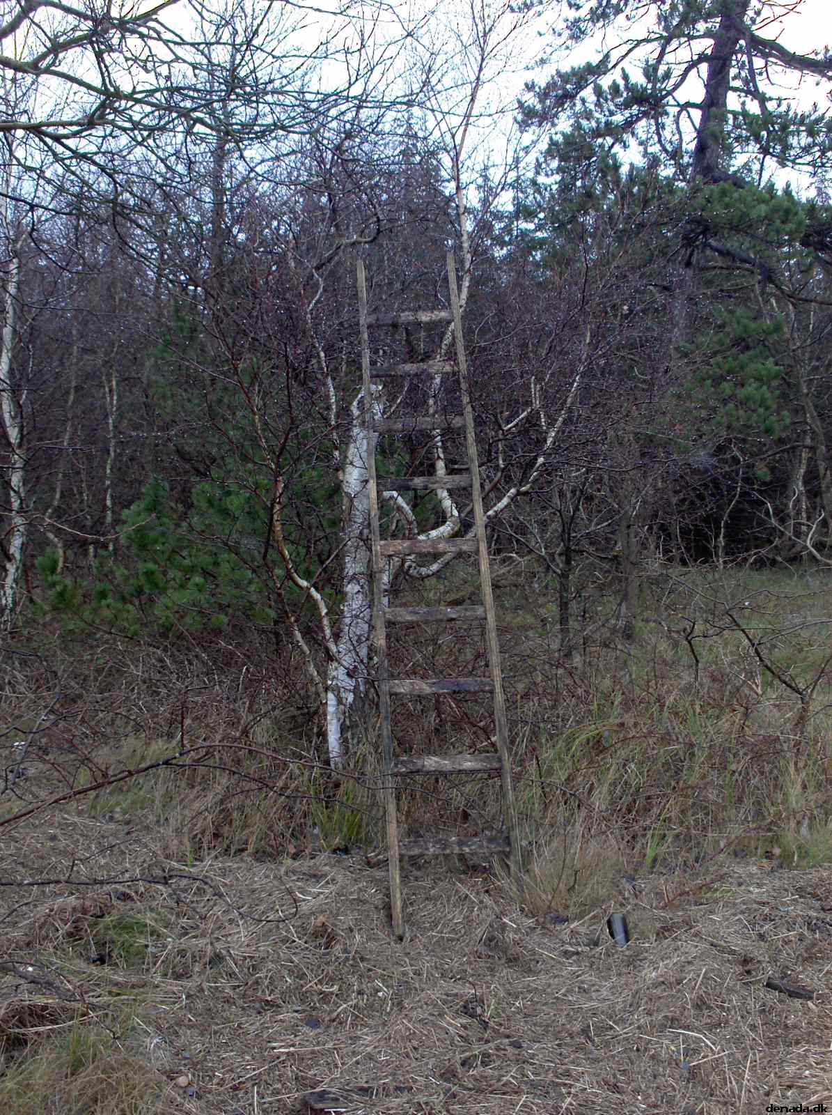* Image 74