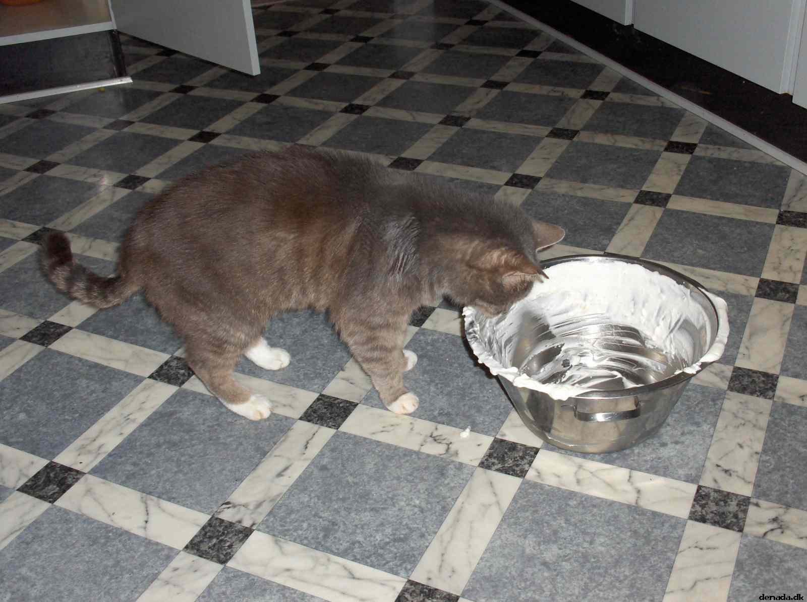 * Image 24