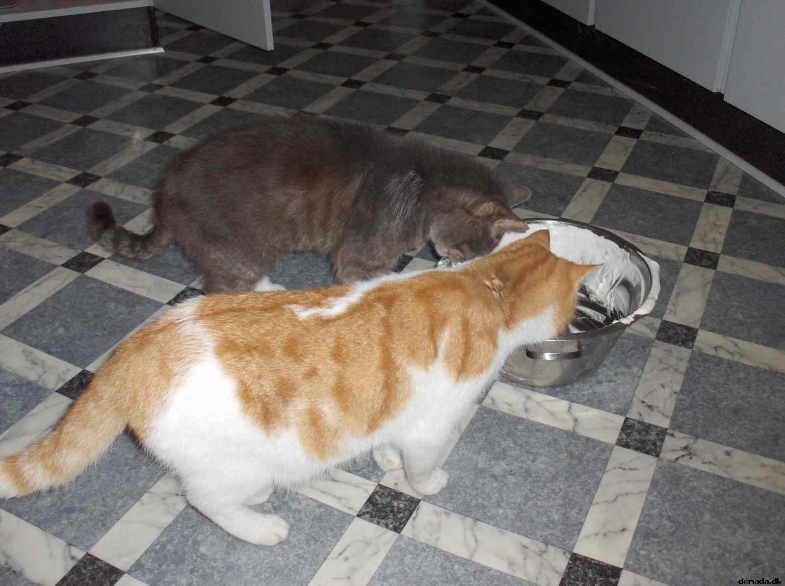 * Image 25