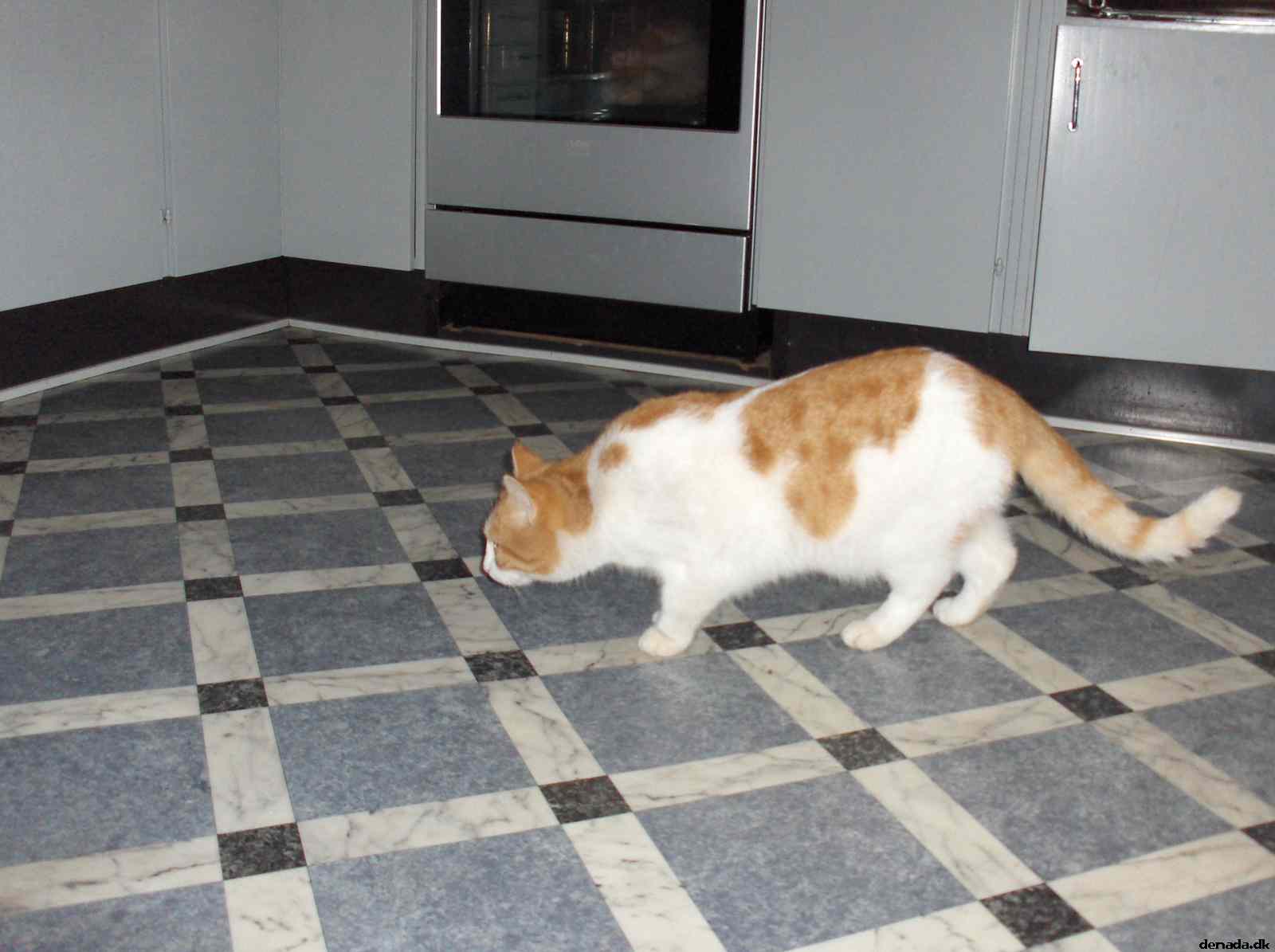 * Image 27