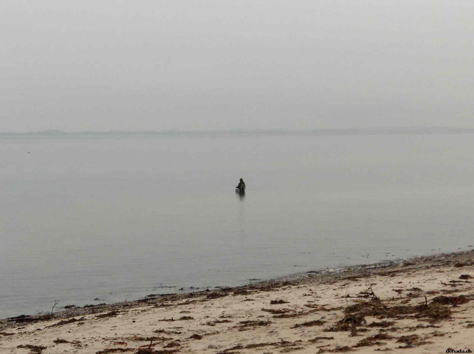 * Image 61