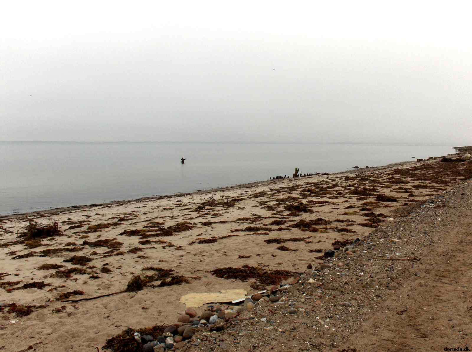* Image 62