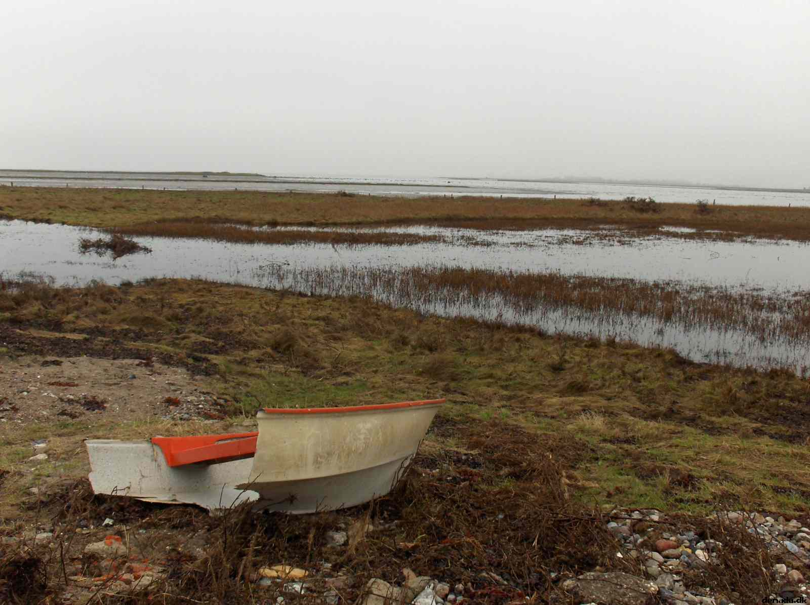 * Image 64