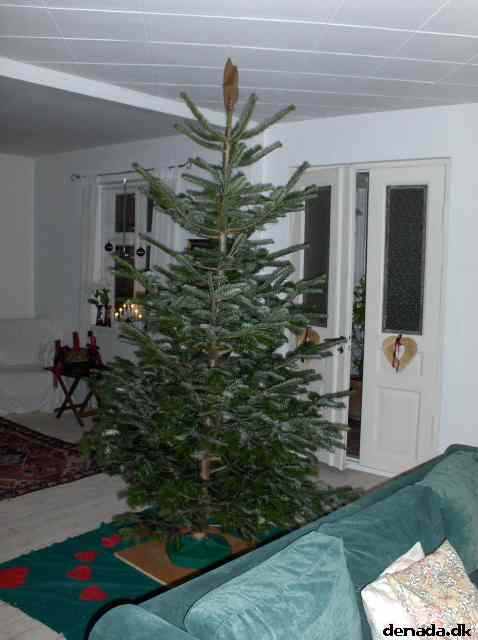 * Image 1