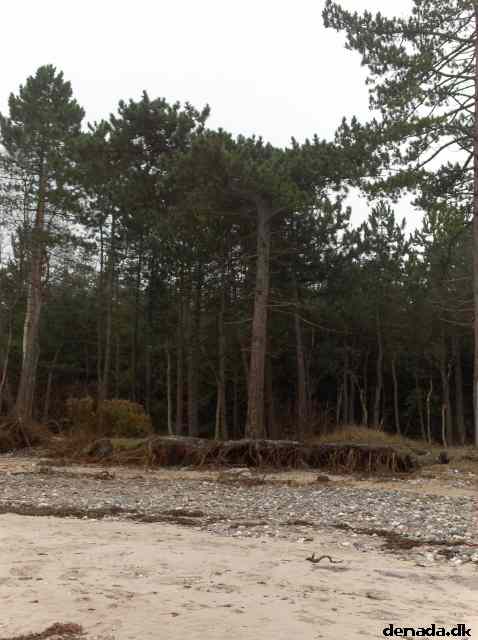 * Image 69