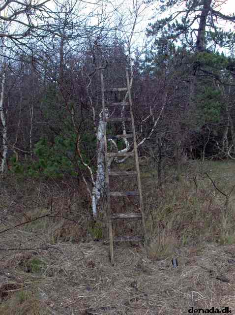 * Image 74