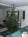 HPIM1343.JPG - 2006:12:23 17:20:36