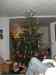 HPIM1395.JPG - 2006:12:24 20:04:17