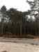 HPIM1416.JPG - 2006:12:25 11:45:28