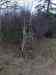 HPIM1421.JPG - 2006:12:25 12:24:18
