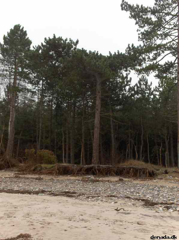 * Image 69