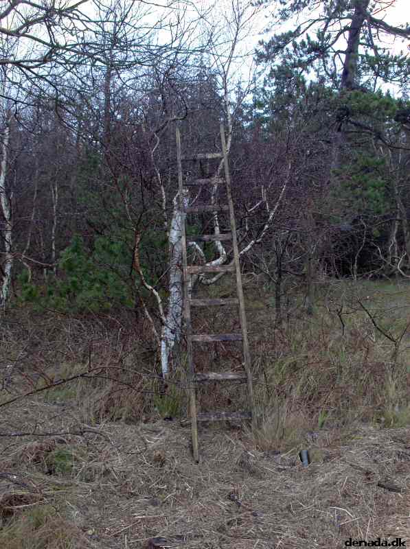* Image 74
