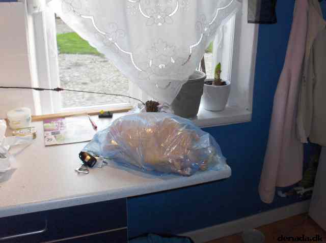 * Image 7