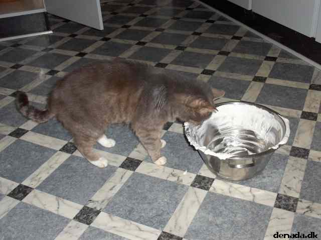 * Image 24