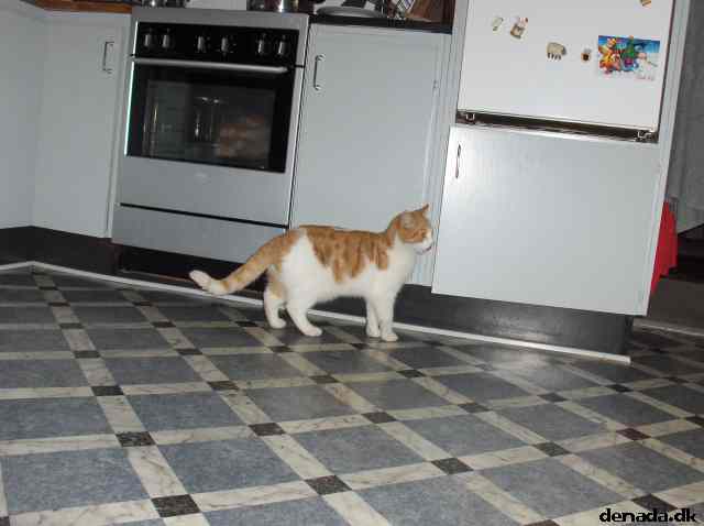 * Image 28