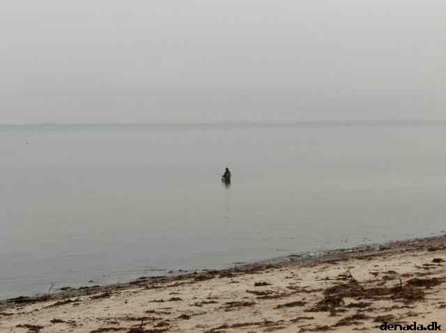 * Image 61