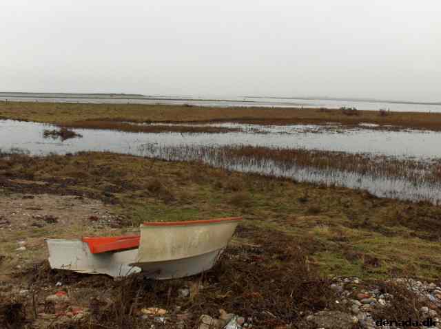 * Image 64