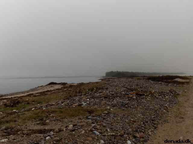 * Image 67