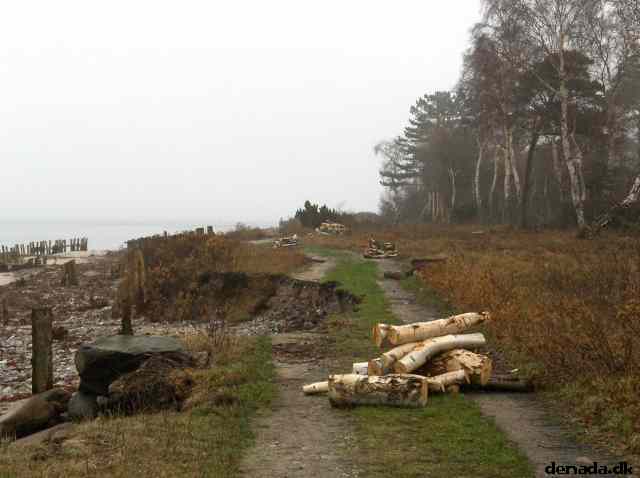 * Image 71