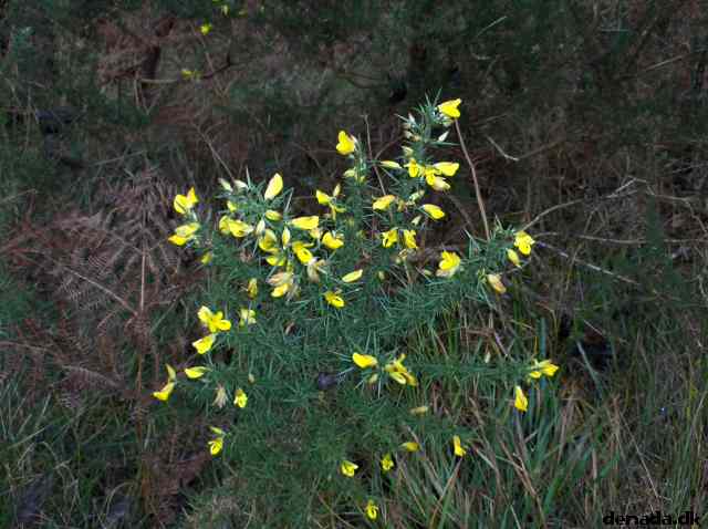 * Image 73